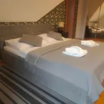 Orlan براتسيلافا