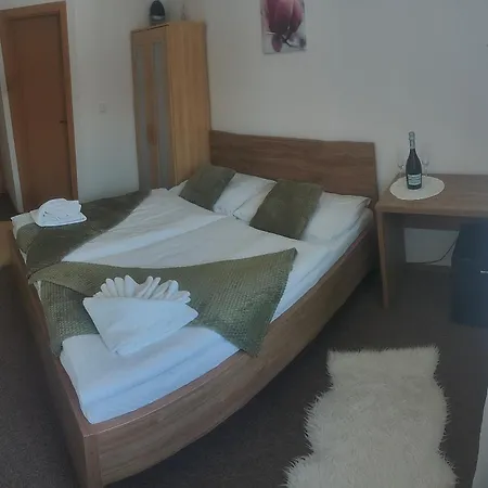 Orlan מלון ברטיסלאבה